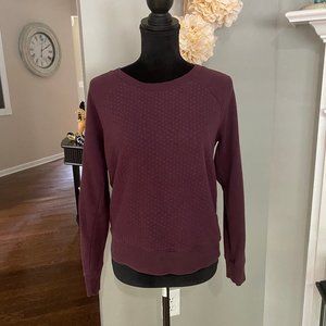 Aerie Crewneck Sweatshirt